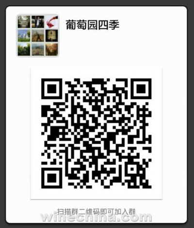 葡萄园拾粹(4):试种马瑟兰 应该注意啥?