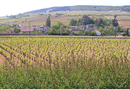 Champagne and Burgundy recognised by UNESCO