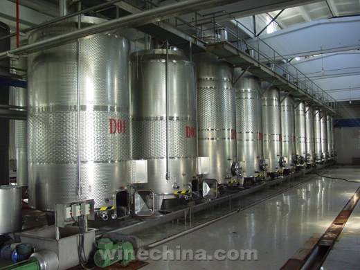 Chinese Winemakers (66) Zhao Yuling:Making wine with peaceful mind