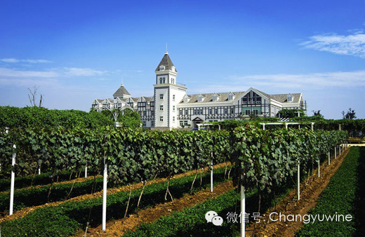 张裕国内八大酒庄-中国葡萄酒信息网