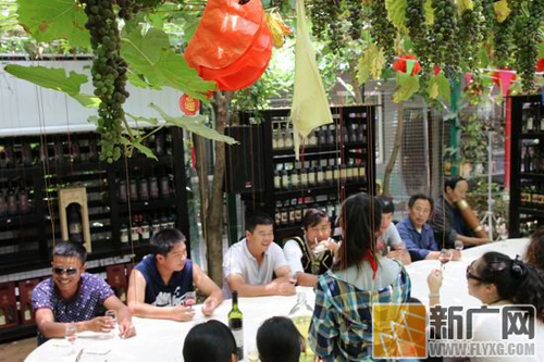 30多家葡萄酒庄醉香弥勒东风葡萄园