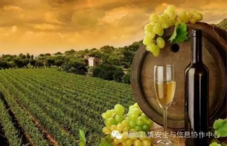 2015年(第二届)国际葡萄酒技术高峰论坛将于8月在新疆乌鲁木齐举行