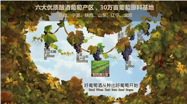 央视造访张裕:60亿葡萄酒航母是这样炼成的