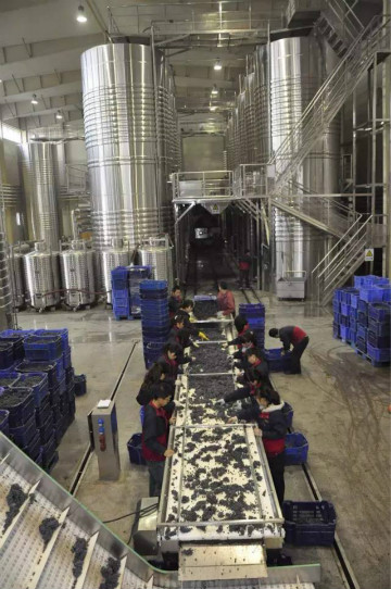 怡园酒庄为中国葡萄酒的发展带来些什么
