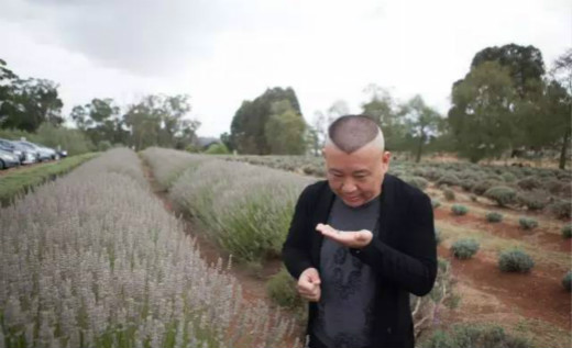 郭德纲的德云红酒,你会买账么?