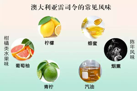 世界4大经典雷司令葡萄酒风格