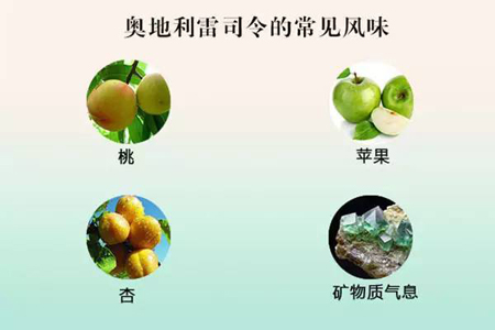 世界4大经典雷司令葡萄酒风格