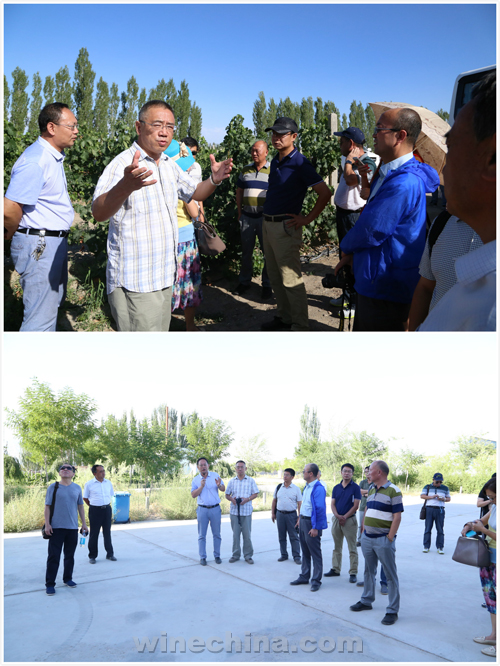 葡粹丝路行(1):新疆巴州之行圆满结束