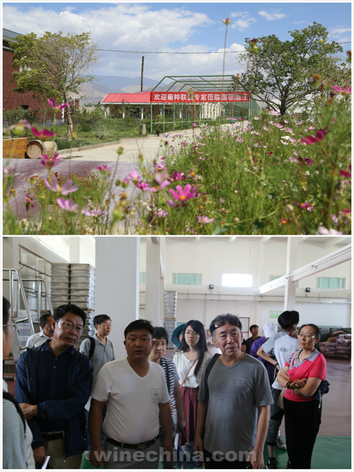 葡粹丝路行(1):新疆巴州之行圆满结束