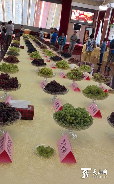 2015年吐鲁番百种葡萄·葡萄酒展示品鉴会召开