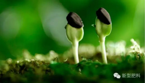 微生物肥料将成土壤生态修复主力军