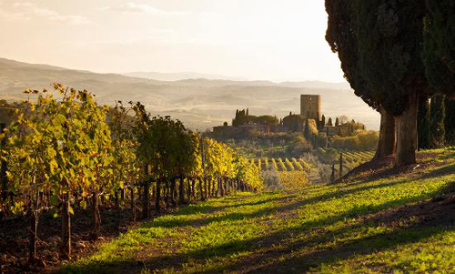 Italian Regions More Traded than Burgundy