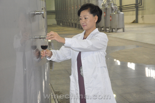 Chinese Winemakers (69) Gao Xiaobo:Have a wine dream since childhood