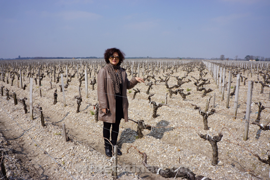 Chinese Winemakers (69) Gao Xiaobo:Have a wine dream since childhood