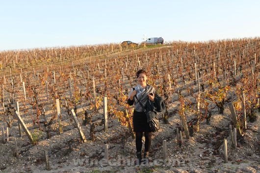 Chinese Winemakers (69) Gao Xiaobo:Have a wine dream since childhood