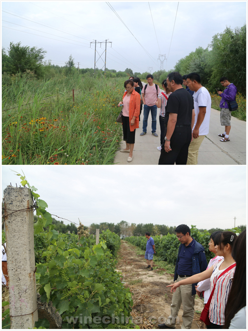 ������˿·�У�3����ɽ������������һ���Ļ����ξ�ׯ