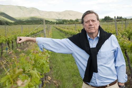 Montes to Try 'Dry Farming' in Mendoza