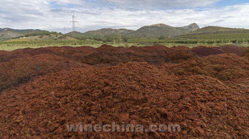 可作生物燃料的原材料-中国葡萄酒信息网