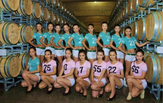 酒庄发展不能倚赖酒庄旅游