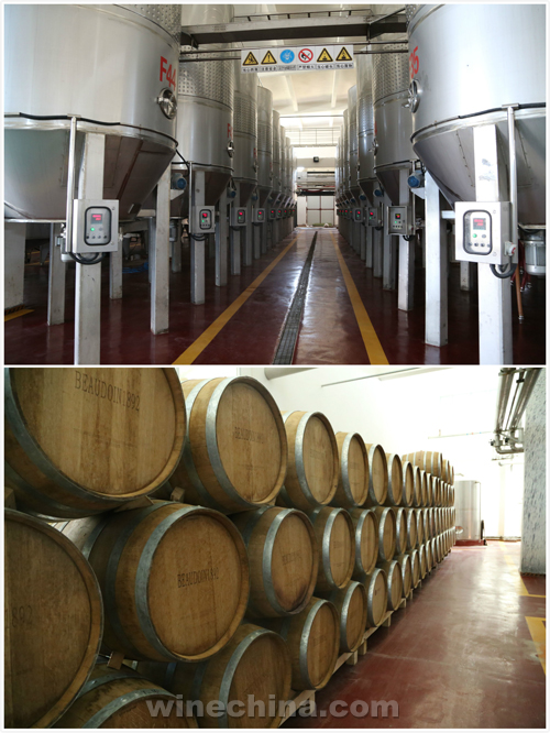 中葡网丝路行(6)国菲酒庄:博湖北岸的一颗新星