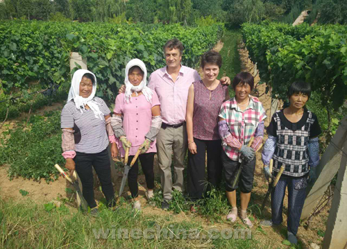 金士酒庄,制药标准做酒业典范