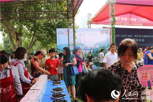 2015中国·怀化（中方）刺葡萄文化旅游节9月开幕