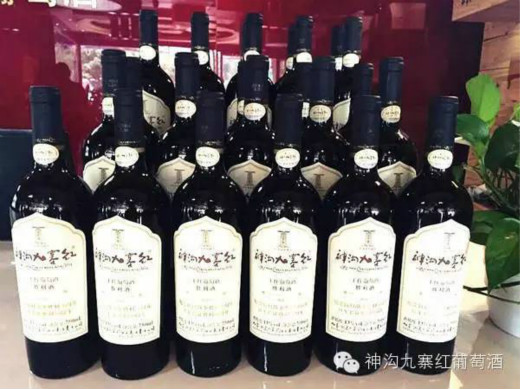 神沟九寨红举办纪念抗日战争和红军长征胜利活动