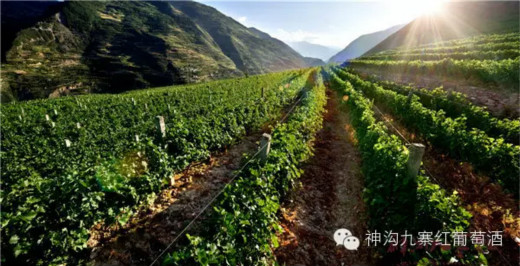 神沟九寨红举办纪念抗日战争和红军长征胜利活动