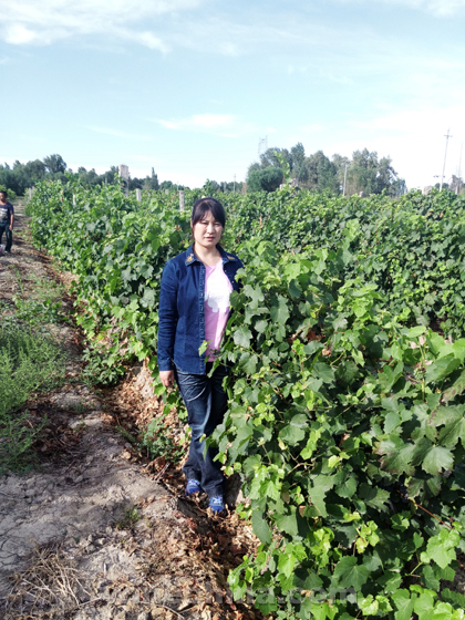 中国酿酒师风采录(80)寇亚琴:把葡萄酒融进风俗
