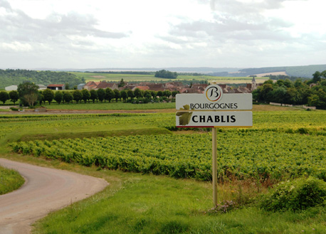 Chablis Confident of 'Excellent'Vintage