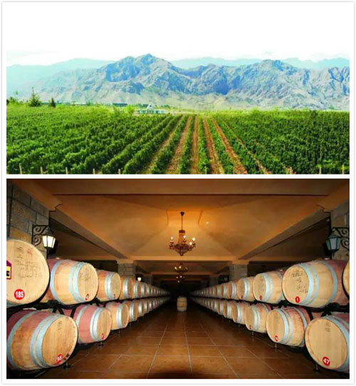 2015贺兰山东麓世界酿酒师邀请赛启幕