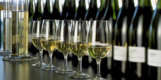 中国开展行业调研为修订葡萄酒国家标准铺路