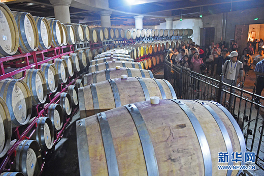 Winery Tour Gets Popular in Ningxia 