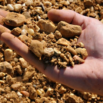 New study strengthens case against soil-based minerality
