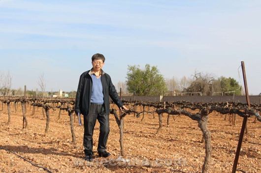 Chinese Winemakers (73) Li Jiming:One Grape,A Glass of Wine