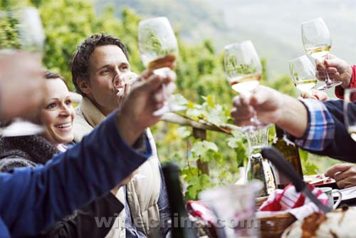 德国葡萄酒协会展团盛大亮相ProWine China 2015