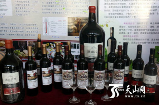 新疆高校首个葡萄与葡萄酒学院成立