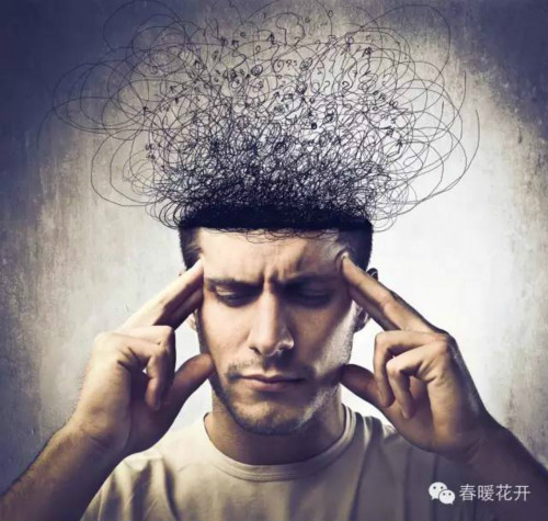 【葡萄架下】三种错误模式葬送中国企业