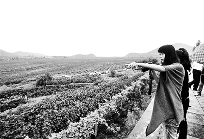 秦皇岛葡萄酒产业融入三次产业联动发展