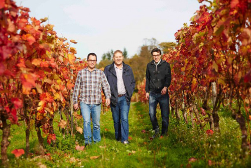 Trend For English 'Organic'Wine Growing