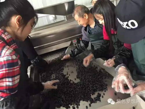 兰一酒庄:要做“黑马”中“汗血宝马”
