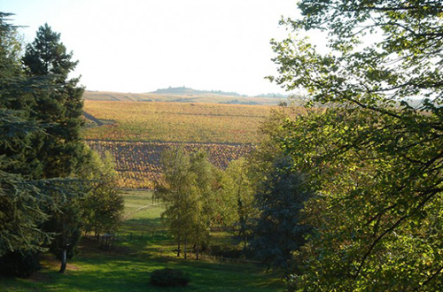 Beaujolais crus to identify all climats by 2016