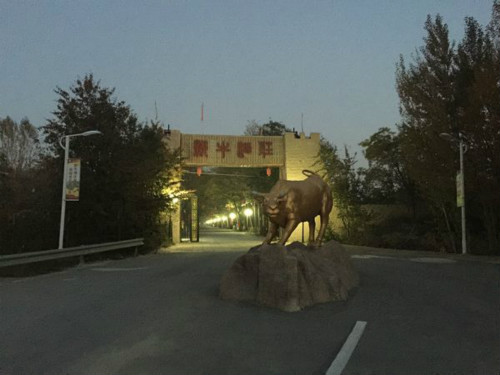 新牛酒庄——刻在玛利亚身上的“纹身”