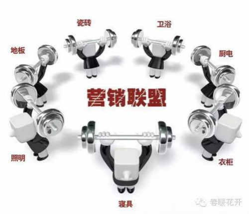 制胜法宝:平台化商业联盟和跨界创新