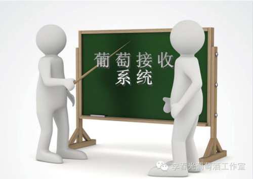 飞酿笔记(八)——葡萄接收系统