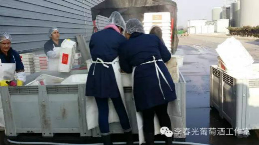 飞酿笔记(八)——葡萄接收系统