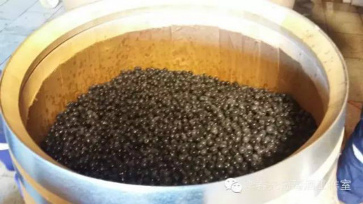 飞酿笔记(八)——葡萄接收系统