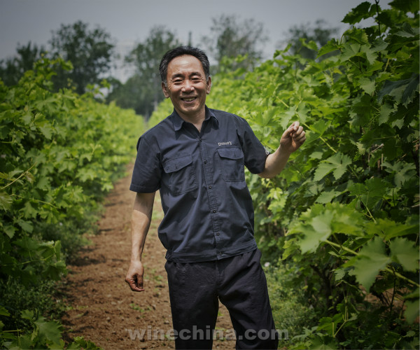 2015中国优质葡萄酒挑战赛评委名单公布