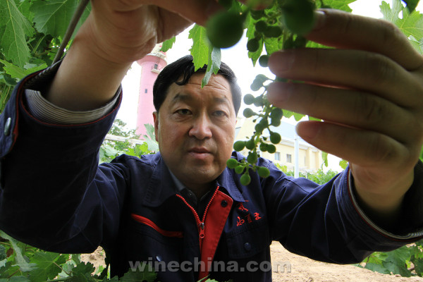 2015中国优质葡萄酒挑战赛评委名单公布