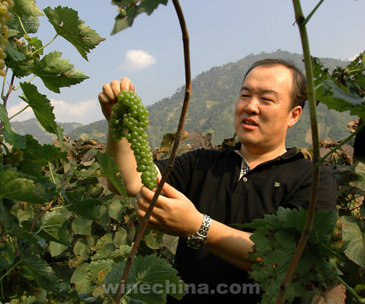 Chinese Winemakers(75) Wang Jun:Characteristics is an eternal theme